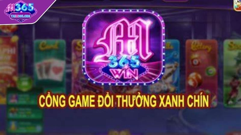 Giới thiệu app M365