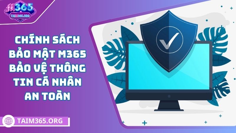 giới thiệu chính sách bảo mật M365