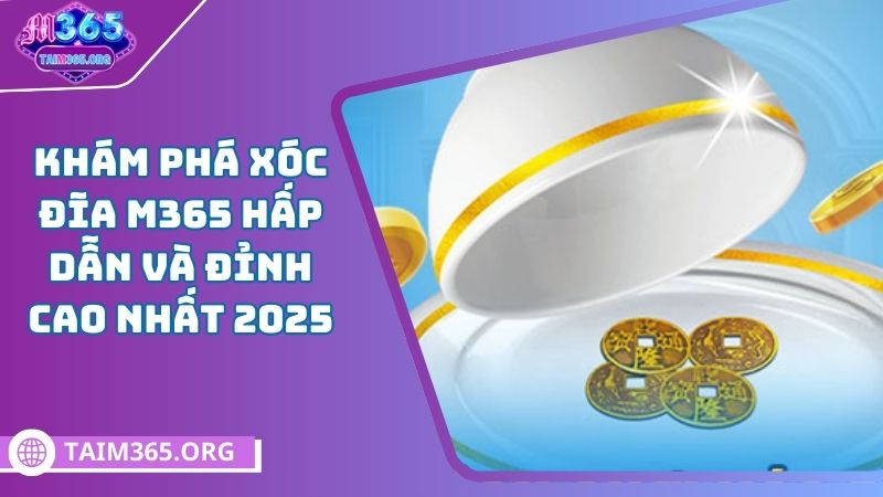 giới thiệu về xóc đĩa m365