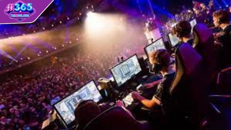 Kinh nghiệm chơi Esport M365