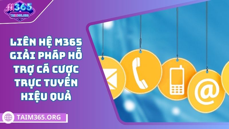 liên hệ m365 như thế nào?