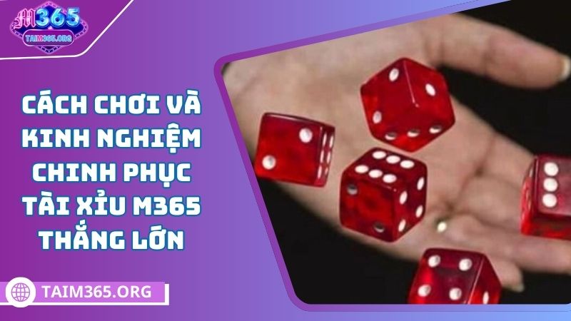 sơ lược về tài xỉu M365