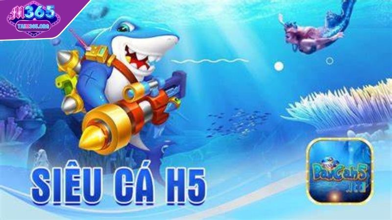 Tiến hành kiểm tra với nhiều loại vũ khí